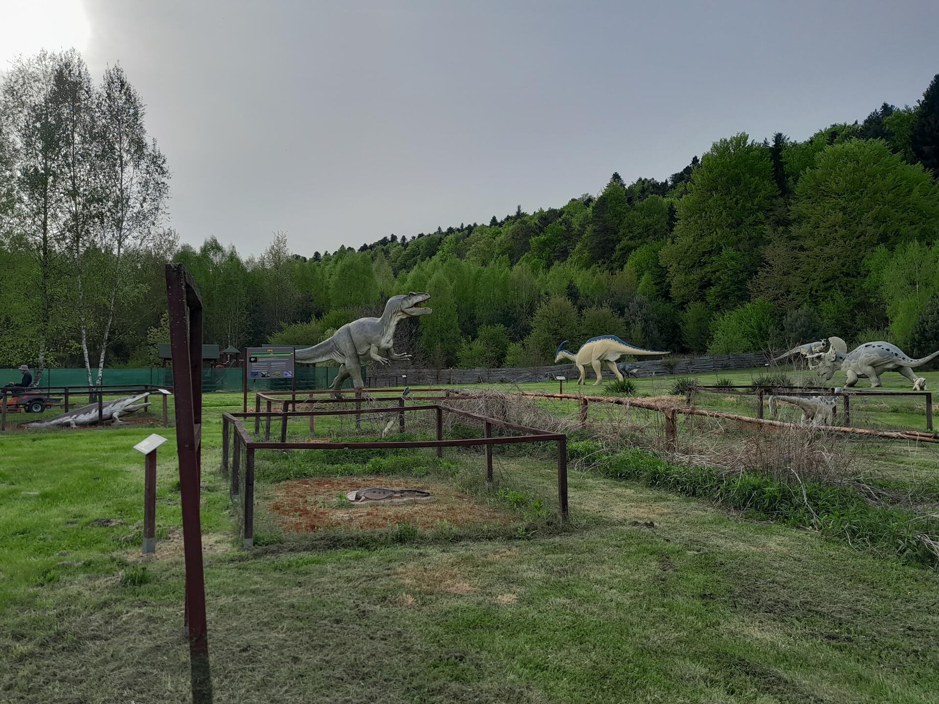 495519075_1197222959080162_3305511516206864340_n