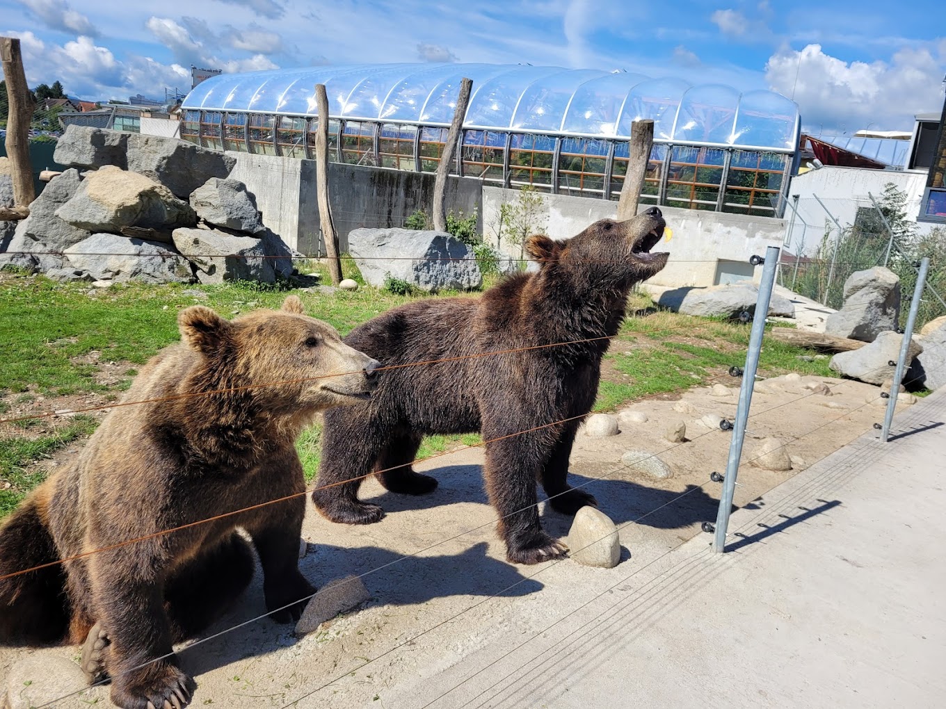 unnamed-44_unnamed-44